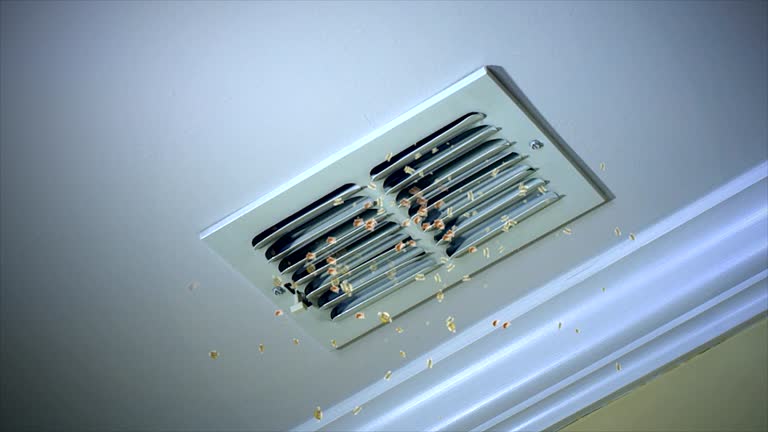 Best HVAC Duct Inspection Services  in Centerville, UT