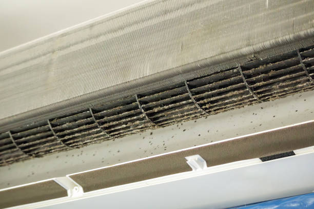 Best Commercial Air Duct Cleaning  in Centerville, UT